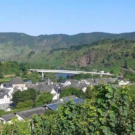 Ferienhaus Treis Neef 外观 照片