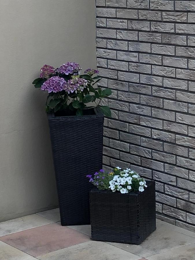 Ferienhaus Treis Neef 外观 照片