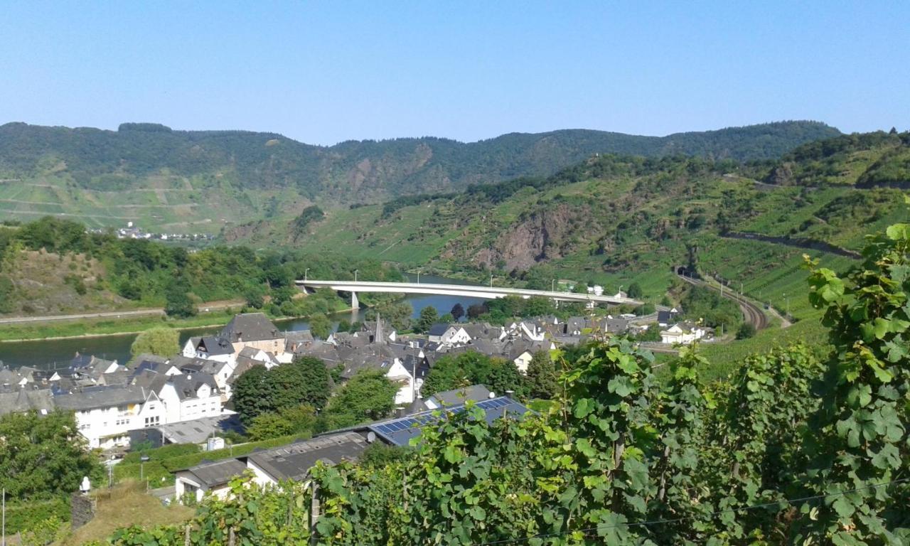 Ferienhaus Treis Neef 外观 照片